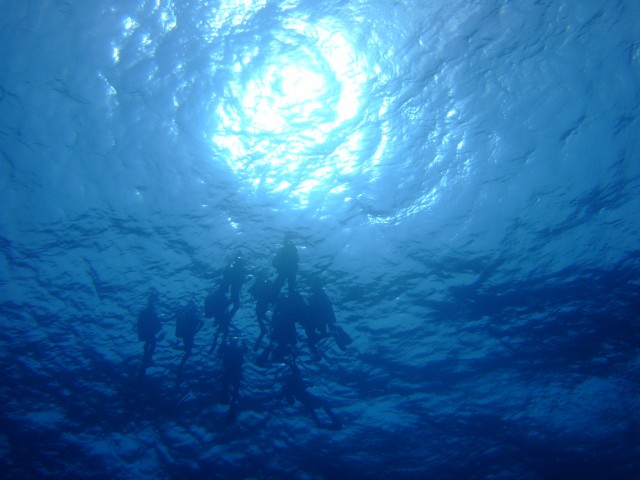 Exit