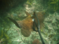 p7050002