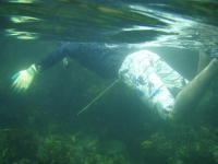 p7050004