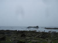 p7050008