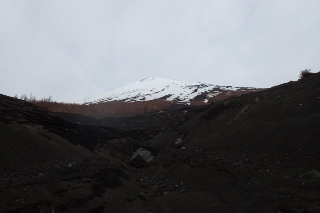5 合目から山頂を見上げる